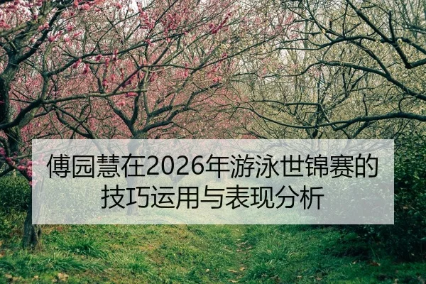 fu-yuan-hui-zai-nian-you-yong-shi-jin-sai-de-ji-qiao-yun-yong-yu-biao-xian-fen-xi-2-553.jpg