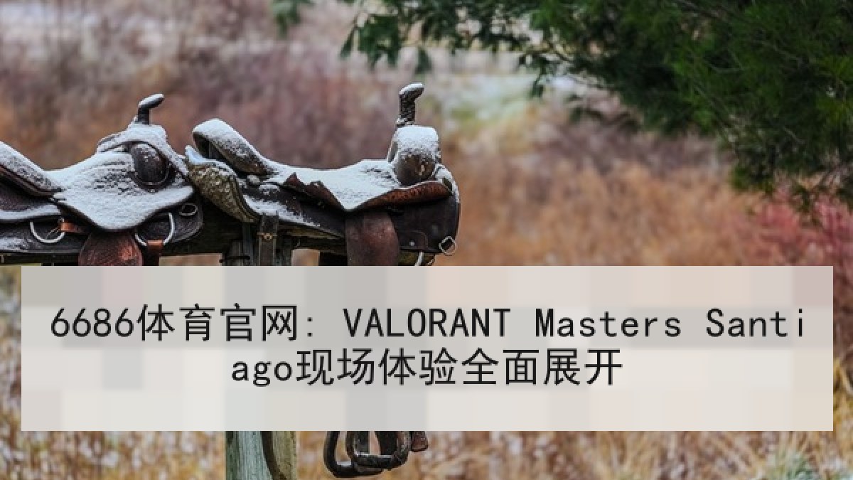 6686体育官网: VALORANT Masters Santiago现场体验全面展开