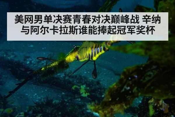 美网男单决赛青春对决巅峰战 辛纳与阿尔卡拉斯谁能捧起冠军奖杯